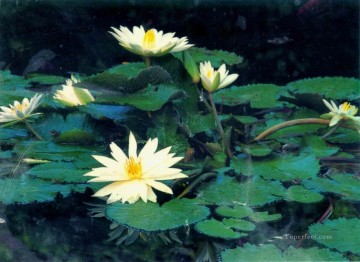 フォトリアリズムの花 Painting - xsh0419b 写真の花から現実的